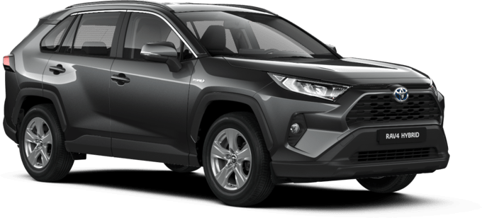 toyota_rav4_business_gris