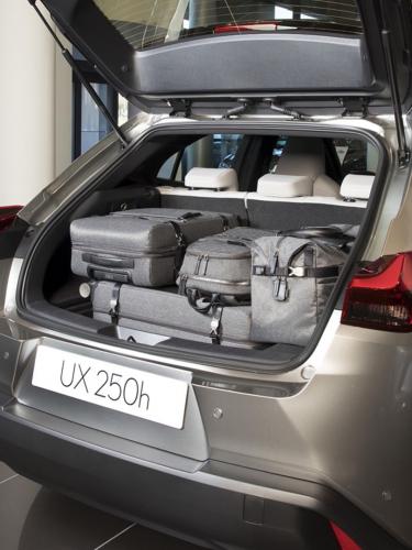 lexus-ux-250h-4x4-250h-moveco-9