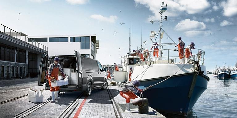 toyota-proace-electric-moveco-0copia