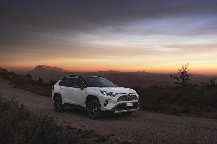 toyota-rav4-25-220h-2wd-14-moveco-14